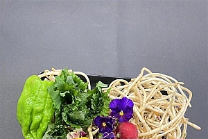 邓超情人节送孙俪一盆菜 明星们过情人节都怎么过的呢?