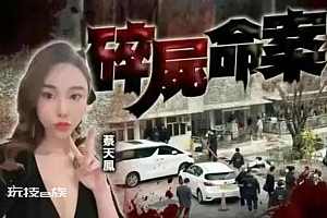 3D模拟香港名媛碎尸案经过:电锯、绞肉机、煮残肢的汤汁…