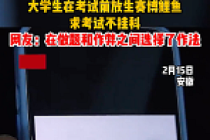 学生考试前放生电子鲤鱼 选择电子放生积德求不挂科