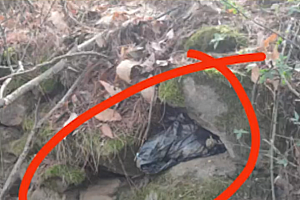 湖北市民在石洞发现狙击枪弹和雷管:子弹数量巨大且崭新