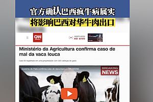 巴西一农场现疯牛病病例  较为少见具有自发性
