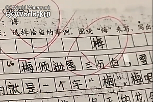 小学生满分作文跑题老师含泪打5分,把“悔”看成了“梅”,想必这次真的悔
