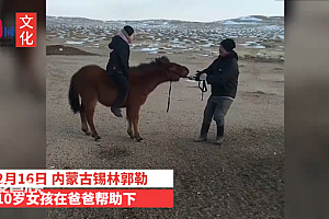 女孩在爸爸帮助下驯服马 不愧是草原的孩子