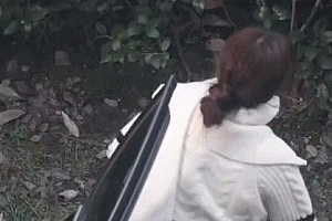 白鹿被树上的站姐吓到了 反应也太可爱了