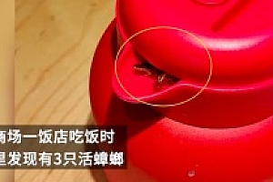 男子称餐厅茶壶里现蟑螂 3只蟑螂在茶壶嘴里来回攒动