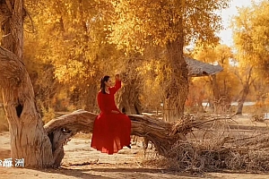 全员丁真化,文旅局长为啥卷翻了
