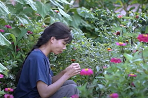 顶流复出成谜,“侧脸李子柒”野蛮生长