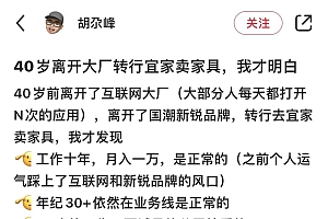 “我,40岁,离开大厂去宜家卖家具”