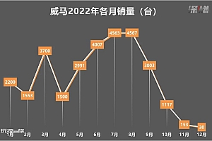 谁来拯救威马汽车?