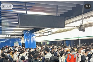 到处人山人海,疫情前的生活终于回来了