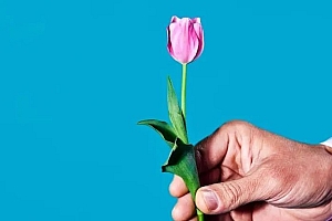 追求稳定的年轻人,有错吗?