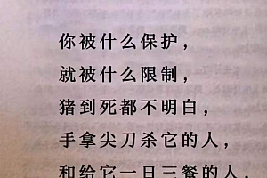 品牌商发展瓶颈:经销商管理多,赋能少