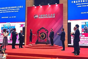 美股上市之路不通畅时,瑞士成了「捡漏王」:宁德时代都跑那儿排队IPO去了