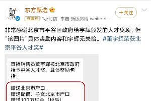 董宇辉会是下一个李子柒吗?