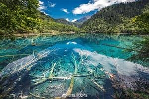 四川多景区明日女性免票 网友:有没有可能现在缺的是时间