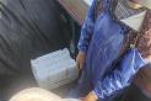 渔民误捕“海猪”果断放生 杨先生朝它喊道:“赶紧走,不要再回来了。”