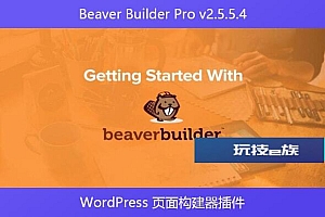 Beaver Builder Pro v2.5.5.4 – WordPress 页面构建器插件