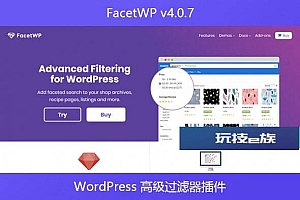 FacetWP v4.0.7 – WordPress 高级过滤器插件