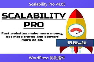 Scalability Pro v4.85 – WordPress 优化插件