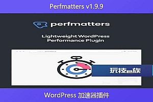 Perfmatters v1.9.9 – WordPress 加速器插件