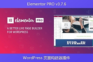 Elementor PRO v3.7.6 – WordPress 页面构建器插件