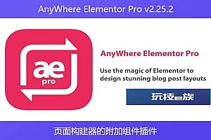 AnyWhere Elementor Pro v2.25.2 – 页面构建器的附加组件插件
