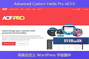 Advanced Custom Fields Pro v6.0.0 – 高级自定义 WordPress 字段插件