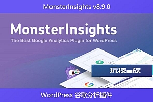 MonsterInsights v8.9.0 – WordPress 谷歌分析插件