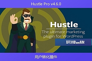 Hustle Pro v4.6.0 – 用户转化插件