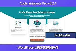 Code Snippets Pro v3.2.1 – WordPress代码段管理器插件