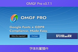 OMGF Pro v3.7.1 – 字体托管插件