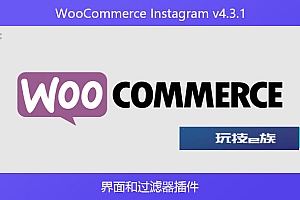 WooCommerce Instagram v4.3.1 – 界面和过滤器插件