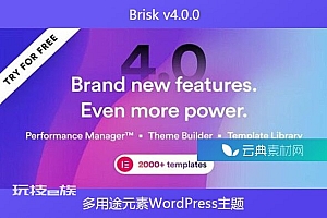 Brisk v4.0.0 – 多用途元素WordPress主题