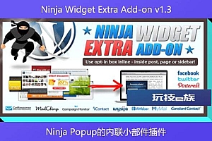 Ninja Widget Extra Add-on v1.3 – Ninja Popup的内联小部件插件