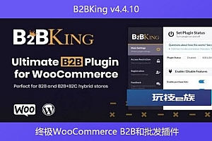 B2BKing v4.4.10 – 终极WooCommerce B2B和批发插件
