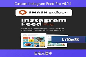 Custom Instagram Feed Pro v6.2.1 – 自定义插件