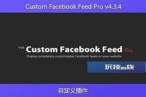 Custom Facebook Feed Pro v4.3.4 – 自定义插件