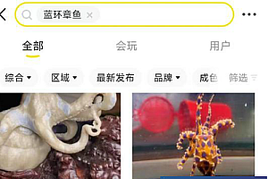 蓝环章鱼毒性是眼镜蛇的50倍 部分网购平台曾有人售卖