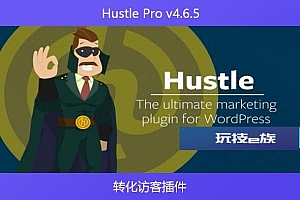 Hustle Pro v4.6.5 – 转化访客插件