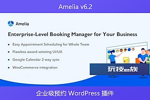 Amelia v6.2 – 企业级预约 WordPress 插件