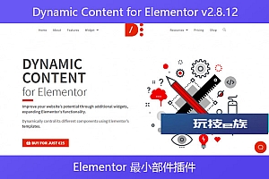 Dynamic Content for Elementor v2.8.12 – Elementor 最小部件插件
