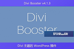 Divi Booster v4.1.3 – Divi 主题的 WordPress 插件
