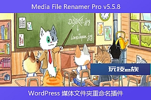 Media File Renamer Pro v5.5.8 – WordPress 媒体文件夹重命名插件