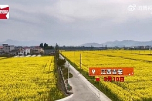 男子花97万为妈妈盖房子网友却有不一样的声音