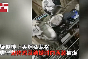 楼上扔烟头阳台宠物鸡变烧鸡  看似不起眼的操作危害性极大