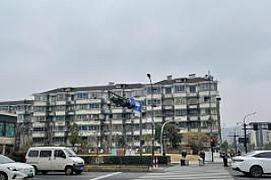 2月杭州楼市:二手房以价换量 成交量上涨,单价腰斩