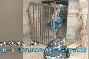 俩男孩生动模仿大人杀猪  太可爱!没有一声是多余的