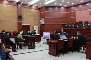 艾滋病患者强奸留守幼女被判15年 归案后隐瞒病史