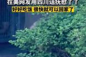 网友用四川话抚慰“丫丫” 网友:丫丫一定听懂了
