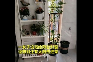 女子没钱给阳台封窗,没想到还有太阳照进来,网友:只要有太阳封了也有